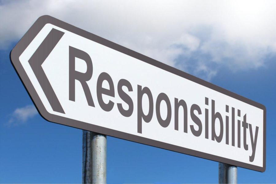 Read more about the article Social and Personal Responsibility